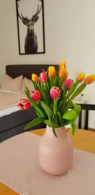 Kozma Apartments Peterlewand Gerlitzen Ossiachersee 보덴스도르프 외부 사진
